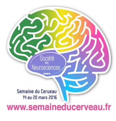 EN PANNE D'INNOVATION ? Ou comment le cerveau innove. - Bar des sciences 2016 - Montbéliard EN PANNE D'INNOVATION ? Ou comment le cerveau innove. - Bar des sciences 2016 - Montbéliard