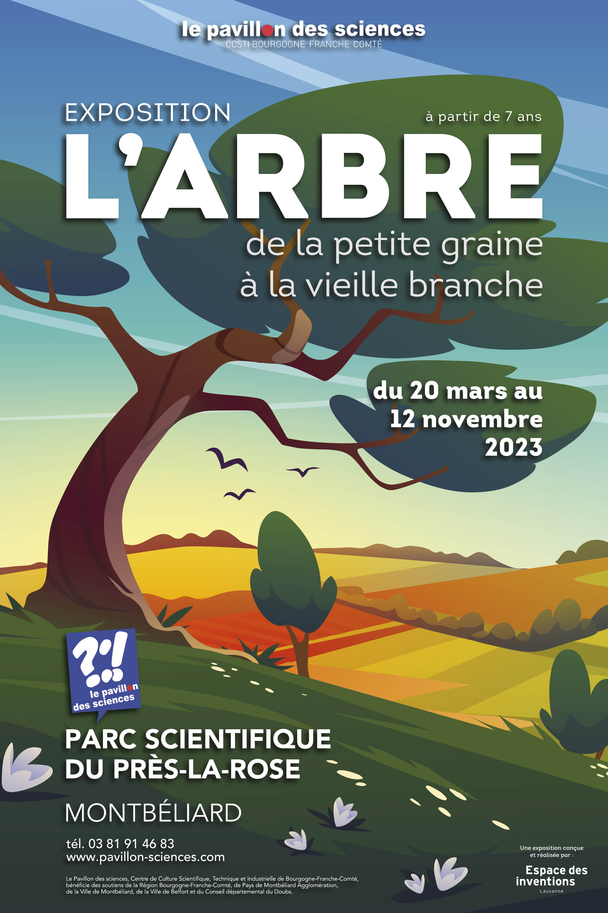 Arbre. De la petite graine à la vieille branche.